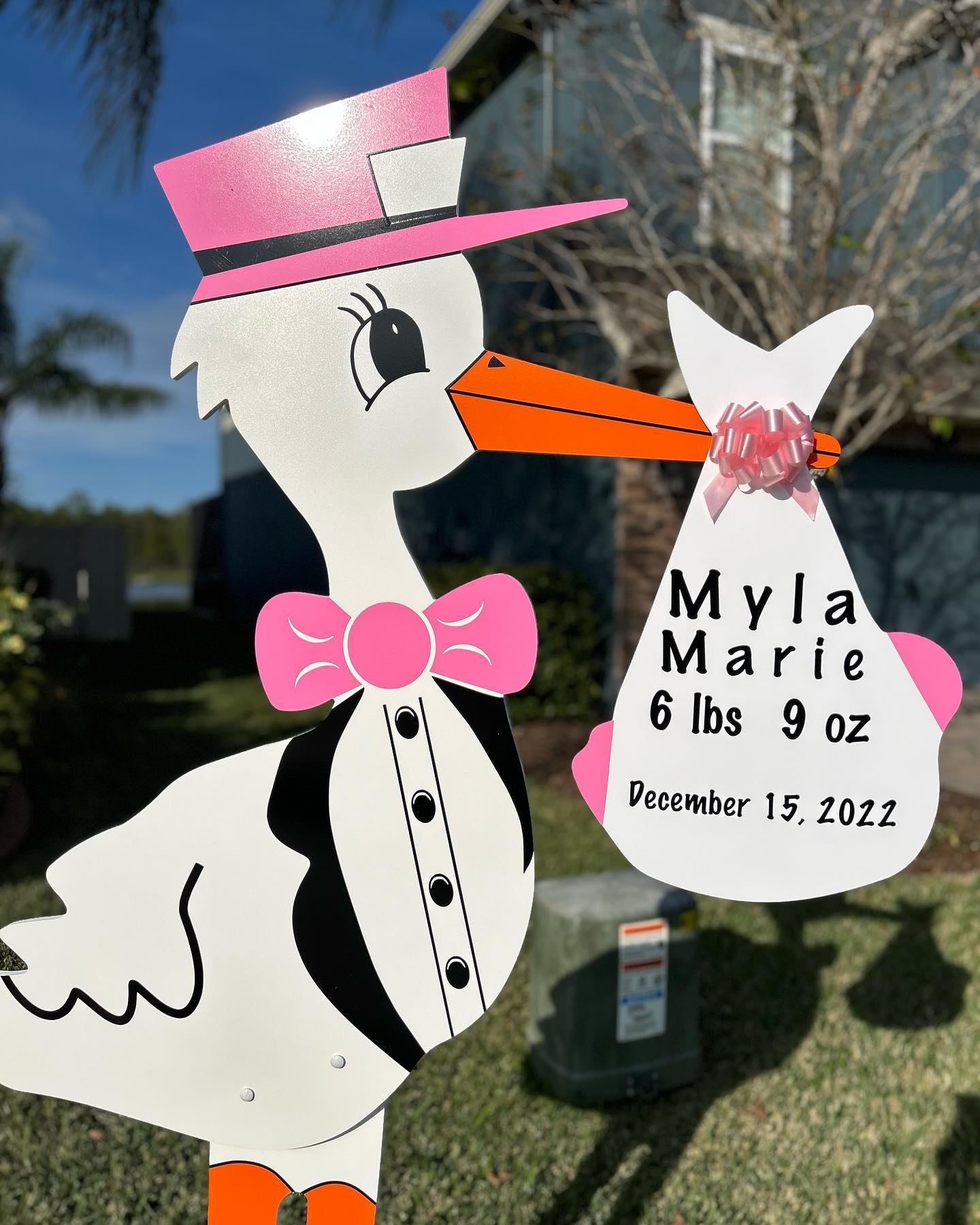 It’s a girl!  Stork Yard Sign Lutz, Florida
