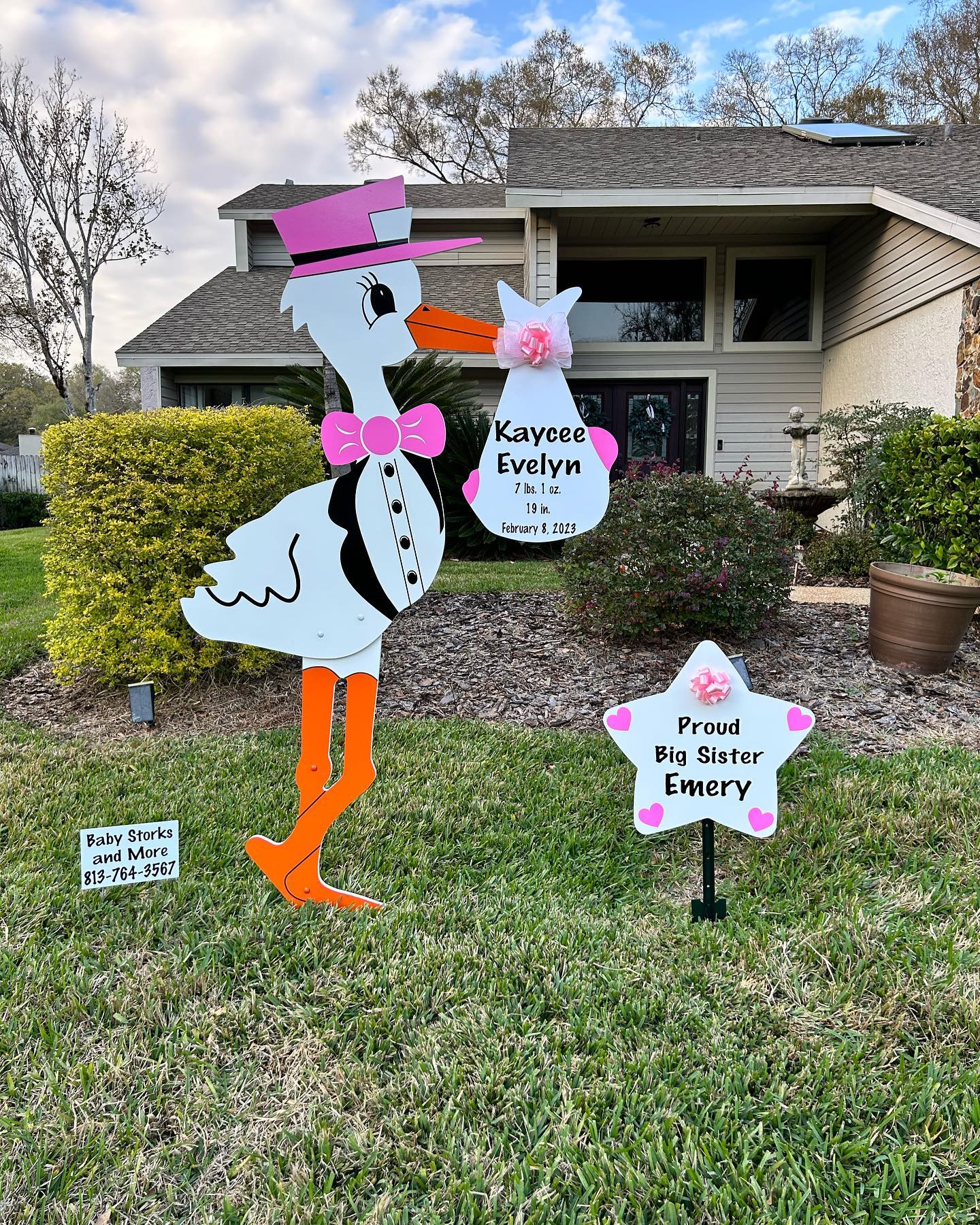 Baby Girl Stork Sign-Lutz, FL