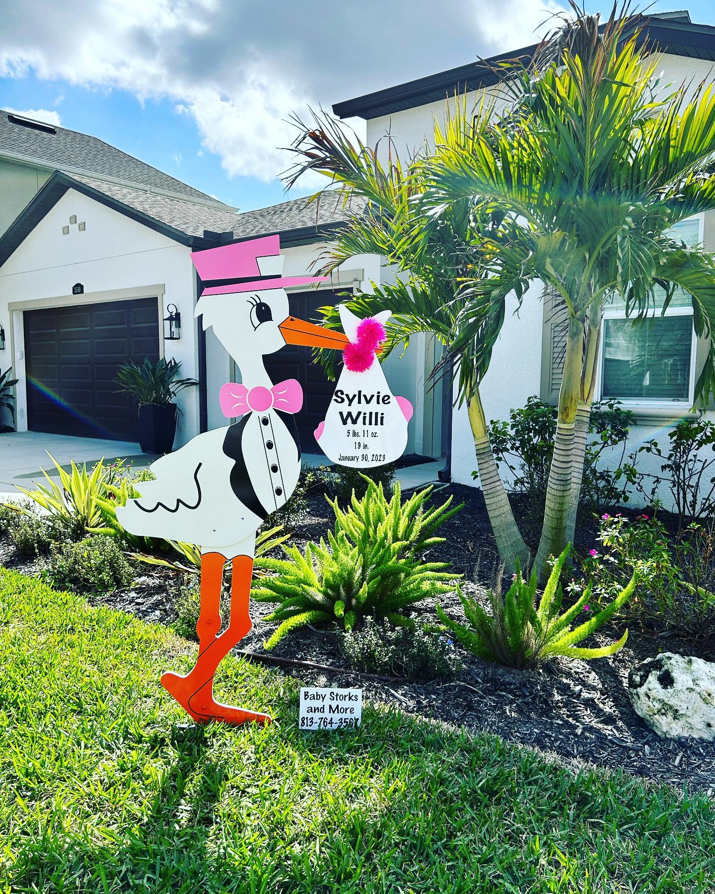 Stork Birth Announcement – Lutz, FL